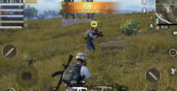 和平精英子英文名字