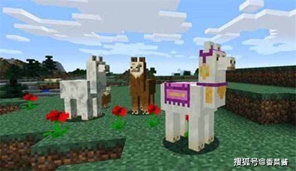 我的世界狮子坐骑如何驯服