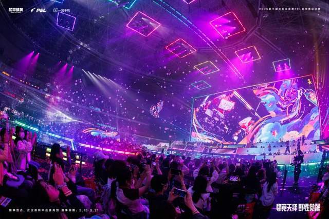 从PEL夏决,看和平精英赛事生态的良性循环